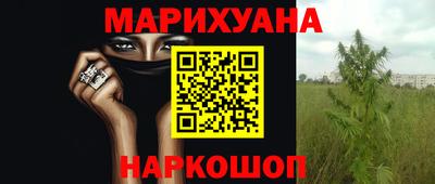 гашик Аргун