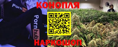 гашик Аргун