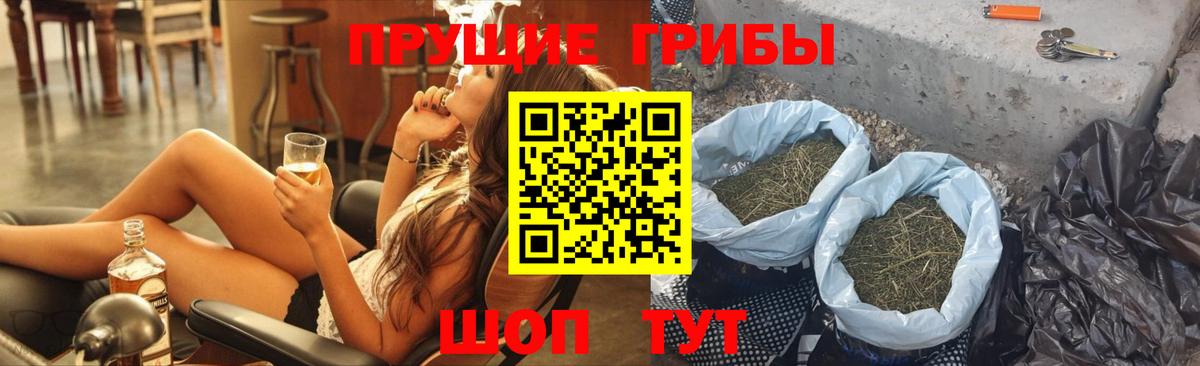 Псилоцибиновые грибы Psilocybe Баксан