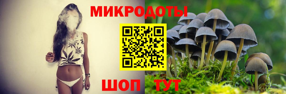 Баксан  Псилоцибиновые грибы MAGIC MUSHROOMS  закладка  Вход с VPN 